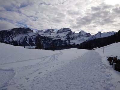 IMG-20250217-WA0027