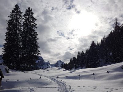 IMG-20250217-WA0028