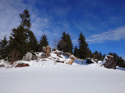 IMG-20250217-WA0030