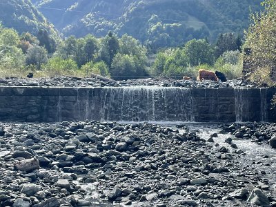 IMG-20251004-WA0006