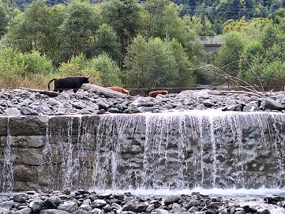 IMG-20251004-WA0043
